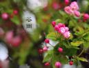 今日谷雨，萬(wàn)物生長(zhǎng)的最佳時(shí)節(jié)！黔西南天氣：多云有陣雨